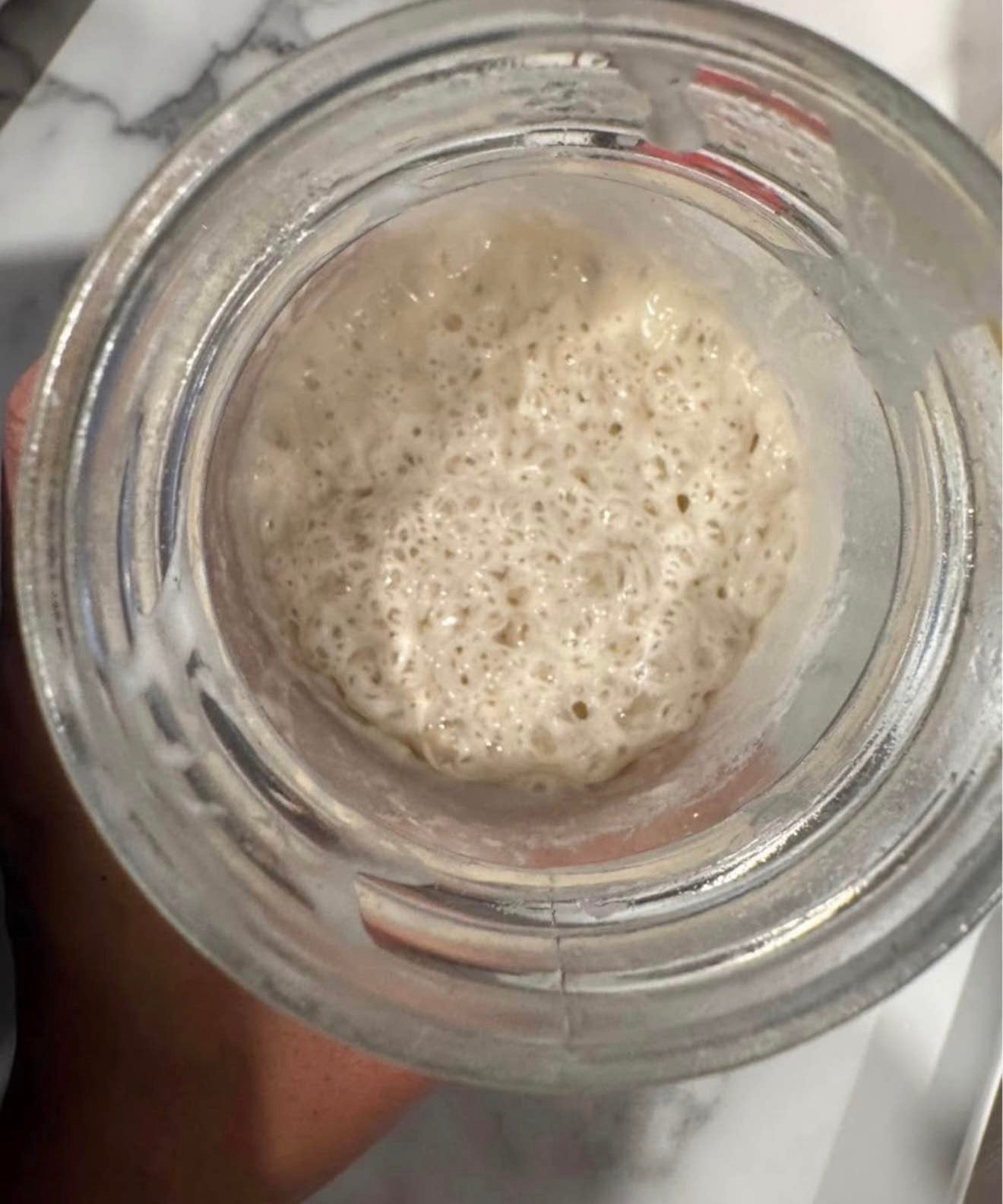 Dehydrated Sourdough Starter