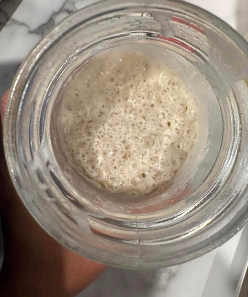 Dehydrated Sourdough Starter