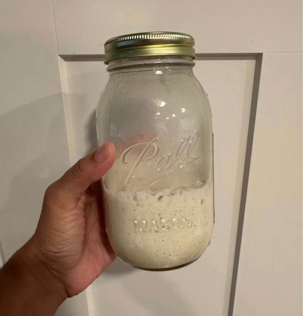 Dehydrated Sourdough Starter