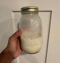 Sourdough Starter (Fresh)