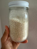Dehydrated Sourdough Starter