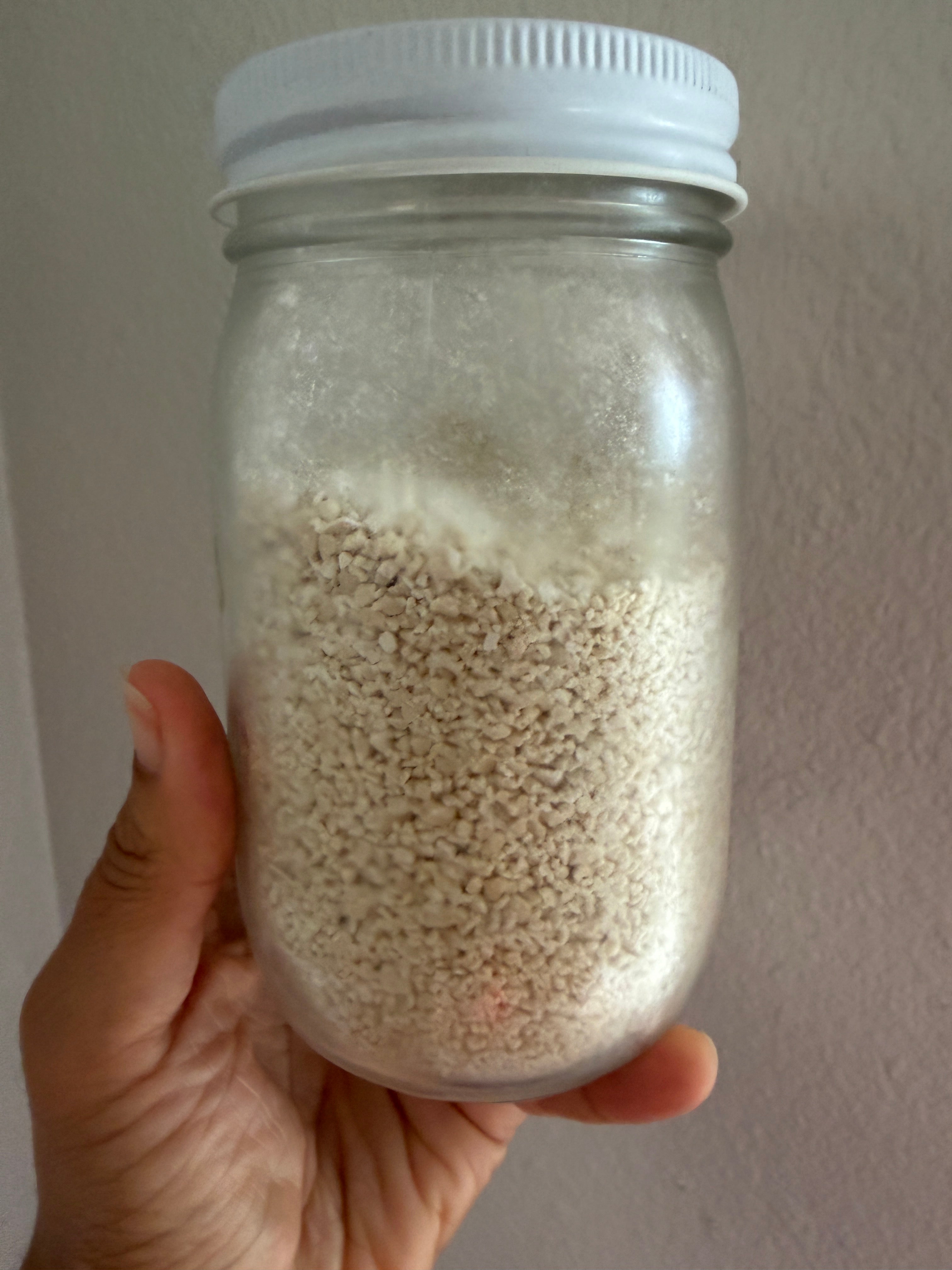 Dehydrated Sourdough Starter