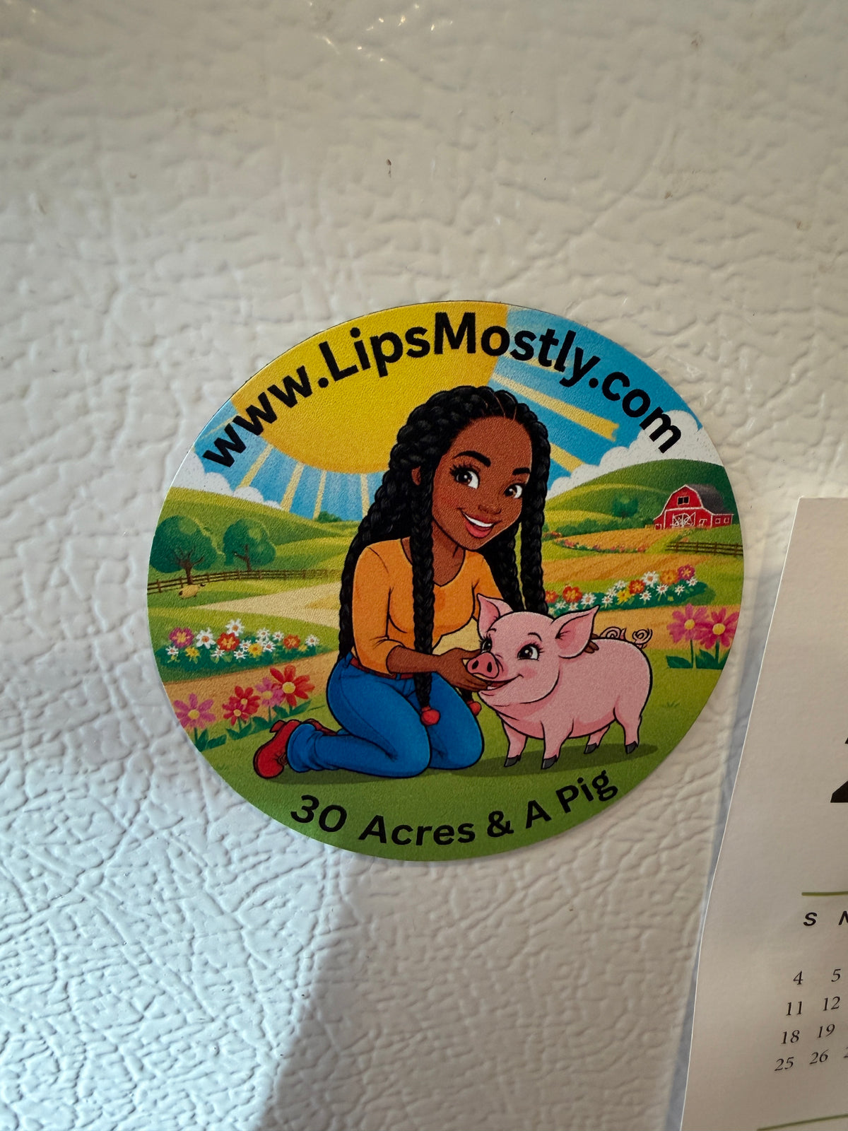 30 Acres And A Pig Magnet
