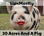 LipsMostly x 30 Acres and a Pig - Home